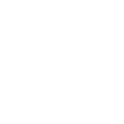 ACS Logo
